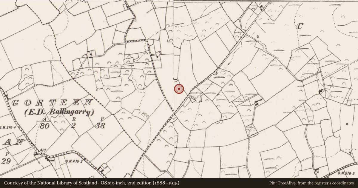 Ordnance Survey six-inch map, 2nd edition (1888–1915) covering the location of Ringfort - rath, Ballyroe West, County Limerick, with a pin at the register's coordinates