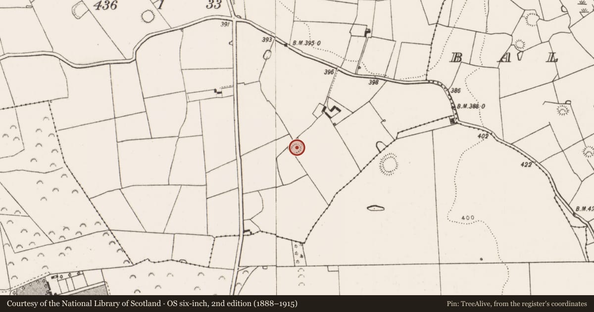 Ordnance Survey six-inch map, 2nd edition (1888–1915) covering the location of Ringfort - rath, Kilmihil, County Limerick, with a pin at the register's coordinates