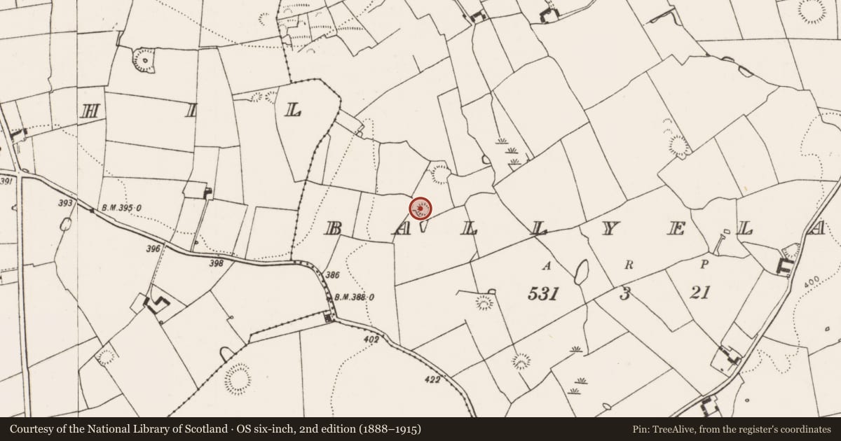 Ordnance Survey six-inch map, 2nd edition (1888–1915) covering the location of Ringfort - rath, Ballyelan, County Limerick, with a pin at the register's coordinates