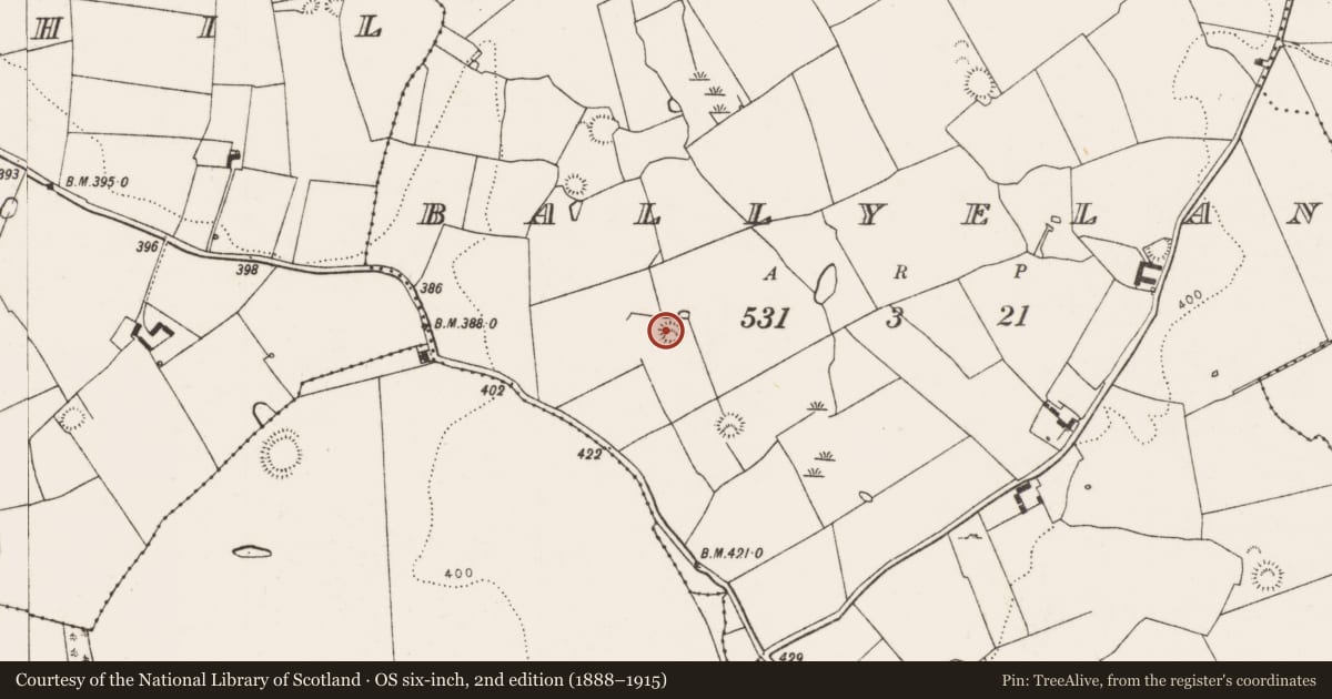 Ordnance Survey six-inch map, 2nd edition (1888–1915) covering the location of Ringfort - rath, Ballyelan, County Limerick, with a pin at the register's coordinates