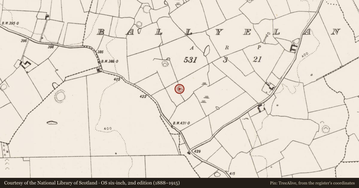 Ordnance Survey six-inch map, 2nd edition (1888–1915) covering the location of Ringfort - rath, Ballyelan, County Limerick, with a pin at the register's coordinates