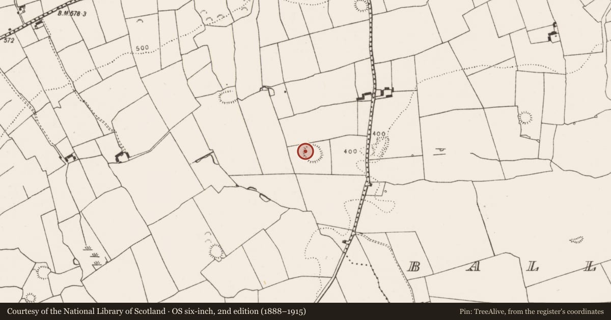 Ordnance Survey six-inch map, 2nd edition (1888–1915) covering the location of Ringfort - rath, Ballyelan, County Limerick, with a pin at the register's coordinates
