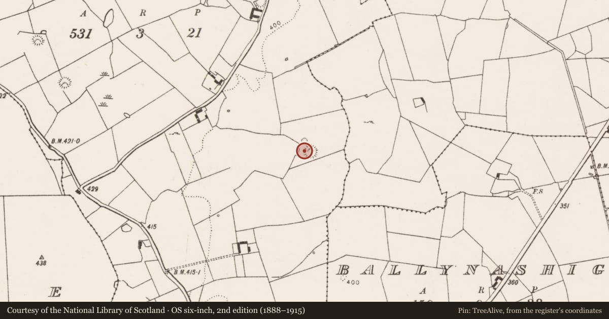 Ordnance Survey six-inch map, 2nd edition (1888–1915) covering the location of Ringfort - rath, Ballyelan, County Limerick, with a pin at the register's coordinates