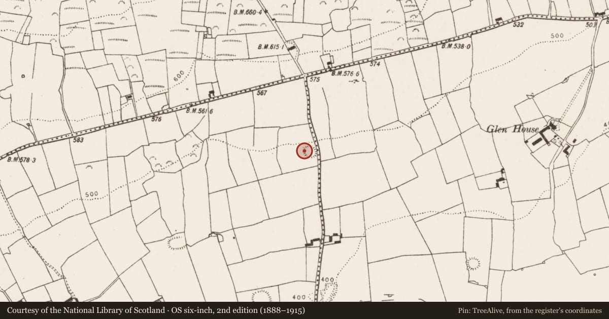 Ordnance Survey six-inch map, 2nd edition (1888–1915) covering the location of Ringfort - rath, Ballyelan, County Limerick, with a pin at the register's coordinates