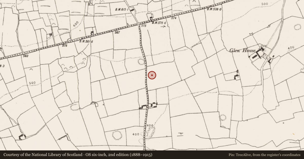 Ordnance Survey six-inch map, 2nd edition (1888–1915) covering the location of Standing stone, Ballygrennan, County Limerick, with a pin at the register's coordinates