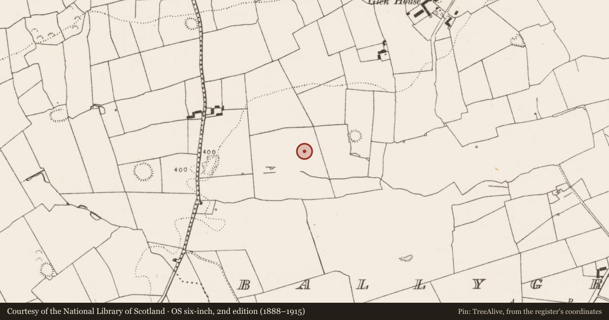 Ordnance Survey six-inch map, 2nd edition (1888–1915) covering the location of Earthwork, Ballygrennan, County Limerick, with a pin at the register's coordinates