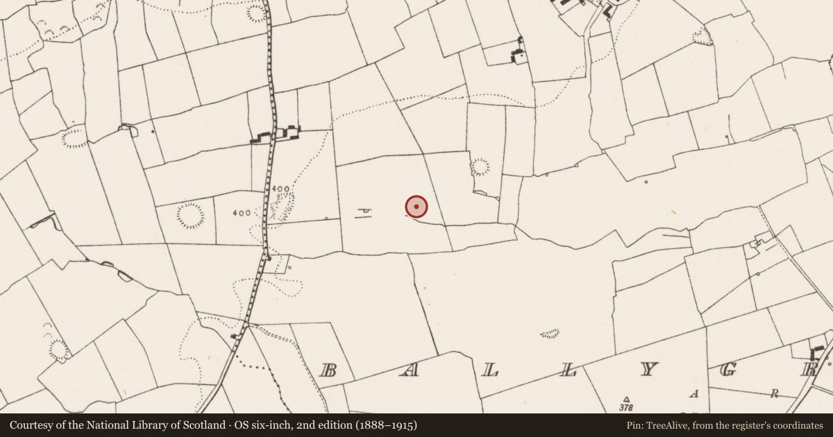 Ordnance Survey six-inch map, 2nd edition (1888–1915) covering the location of Moated site, Ballygrennan, County Limerick, with a pin at the register's coordinates