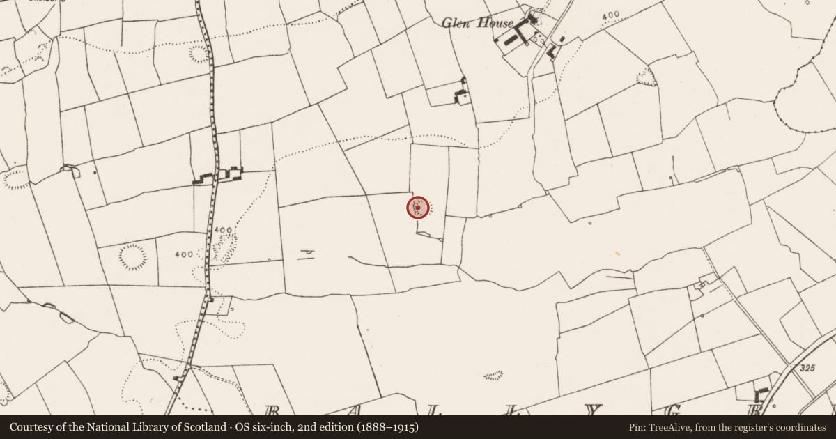 Ordnance Survey six-inch map, 2nd edition (1888–1915) covering the location of Ringfort - rath, Ballygrennan, County Limerick, with a pin at the register's coordinates