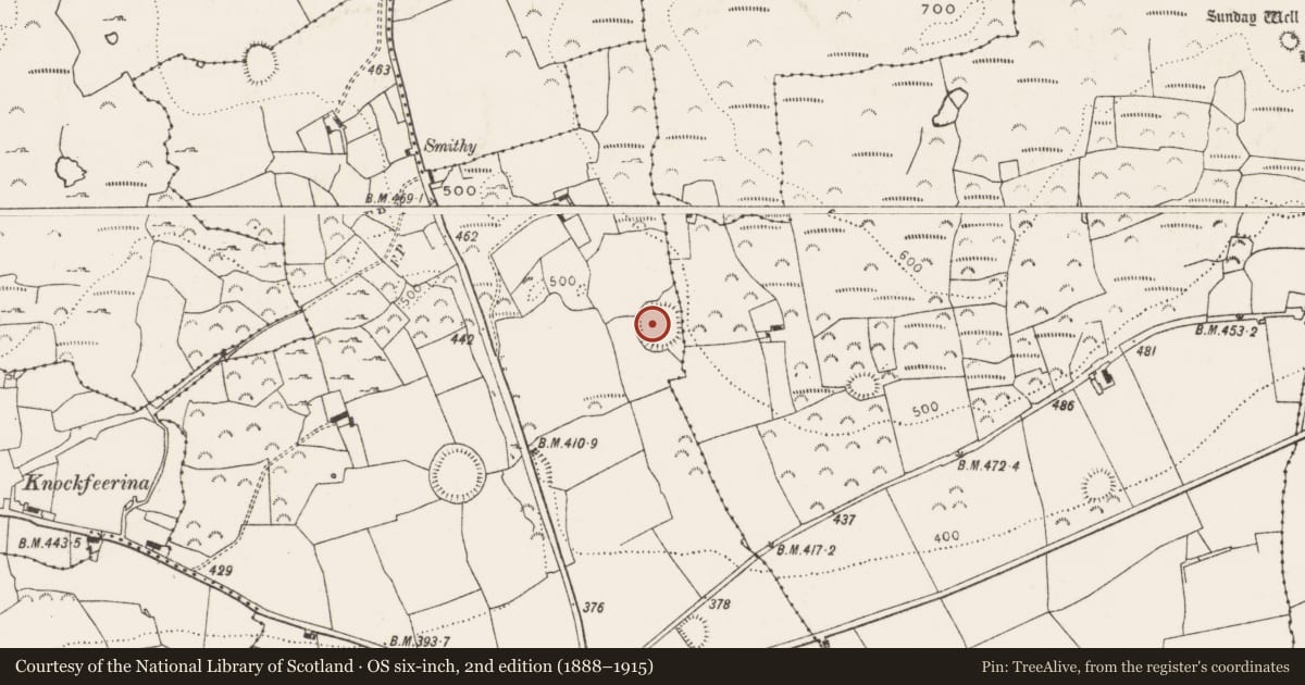 Ordnance Survey six-inch map, 2nd edition (1888–1915) covering the location of Ringfort - rath, Ballyvologe, County Limerick, with a pin at the register's coordinates