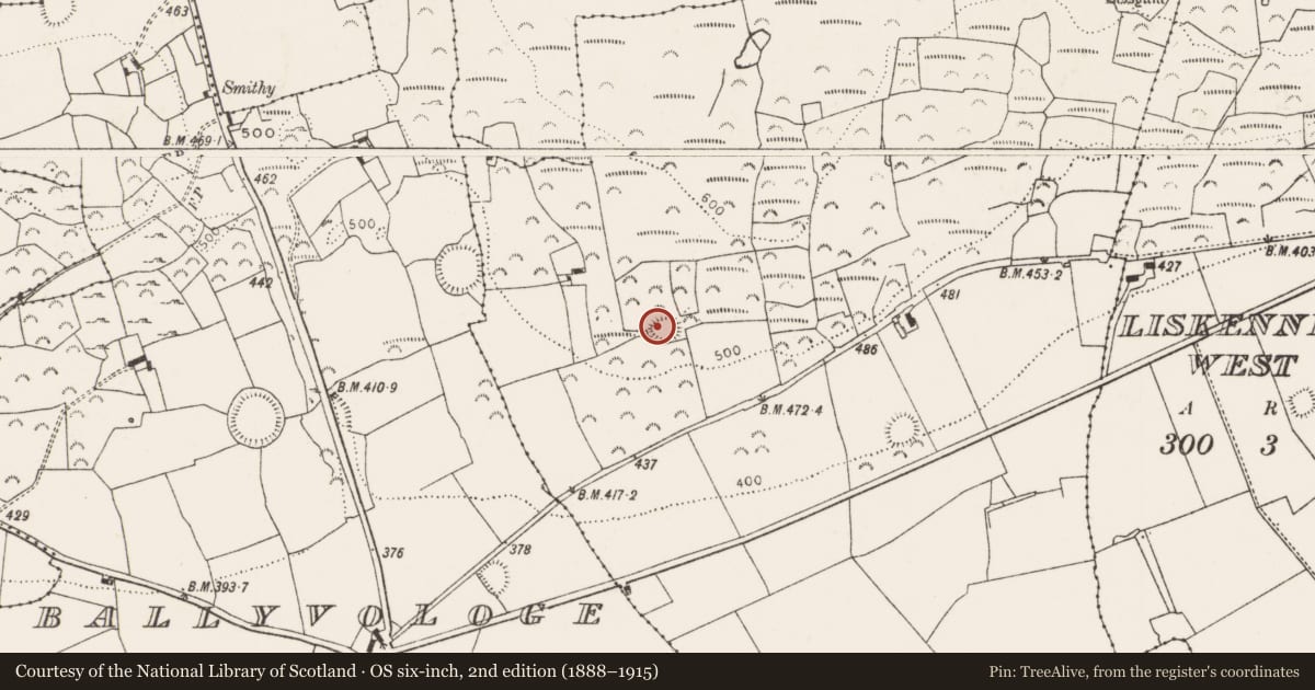 Ordnance Survey six-inch map, 2nd edition (1888–1915) covering the location of Ringfort - rath, Graigacurragh, County Limerick, with a pin at the register's coordinates