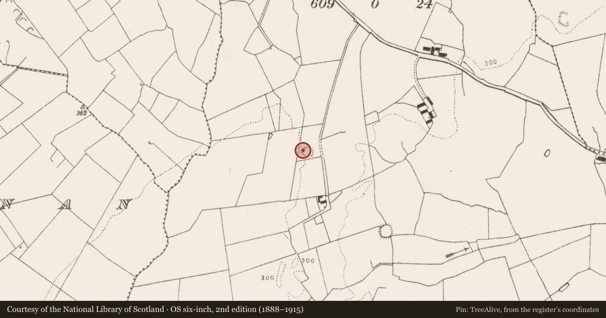Ordnance Survey six-inch map, 2nd edition (1888–1915) covering the location of Ringfort - rath, Graigacurragh, County Limerick, with a pin at the register's coordinates