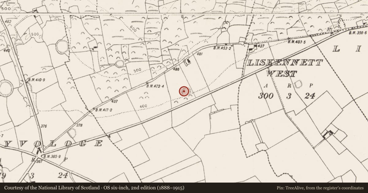 Ordnance Survey six-inch map, 2nd edition (1888–1915) covering the location of Ringfort - rath, Graigacurragh, County Limerick, with a pin at the register's coordinates