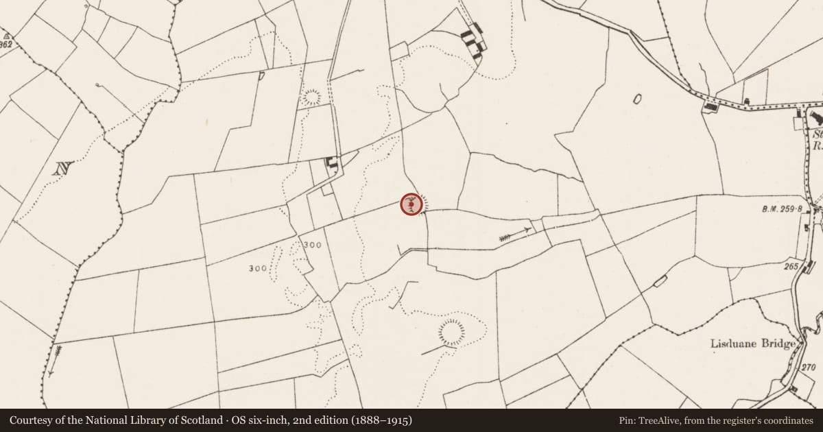 Ordnance Survey six-inch map, 2nd edition (1888–1915) covering the location of Ringfort - rath, Graigacurragh, County Limerick, with a pin at the register's coordinates