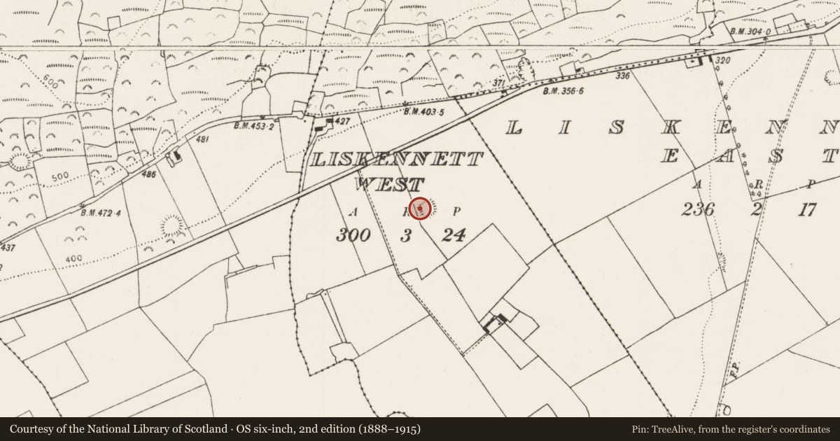 Ordnance Survey six-inch map, 2nd edition (1888–1915) covering the location of Enclosure, Liskennett West, County Limerick, with a pin at the register's coordinates