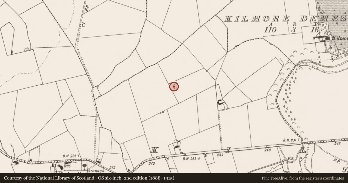 Ordnance Survey six-inch map, 2nd edition (1888–1915) covering the location of Ringfort - rath, Kilmore, County Limerick, with a pin at the register's coordinates