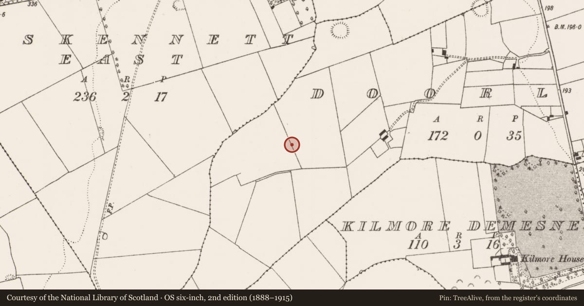 Ordnance Survey six-inch map, 2nd edition (1888–1915) covering the location of Ringfort - rath, Doorlus, County Limerick, with a pin at the register's coordinates