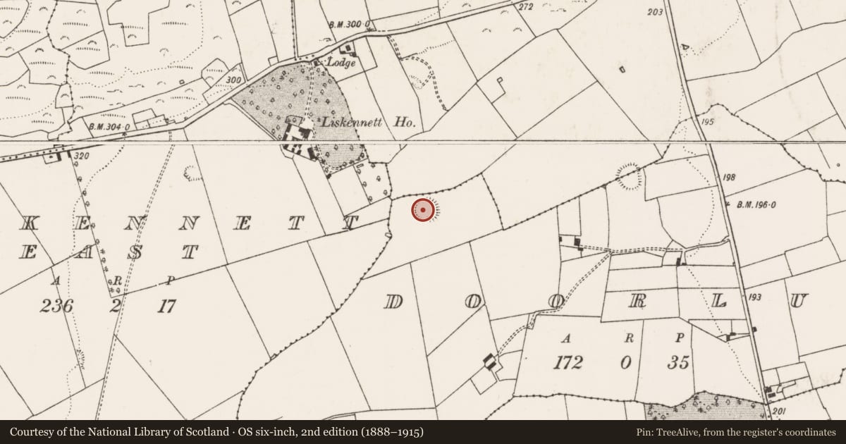 Ordnance Survey six-inch map, 2nd edition (1888–1915) covering the location of Ringfort - rath, Doorlus, County Limerick, with a pin at the register's coordinates