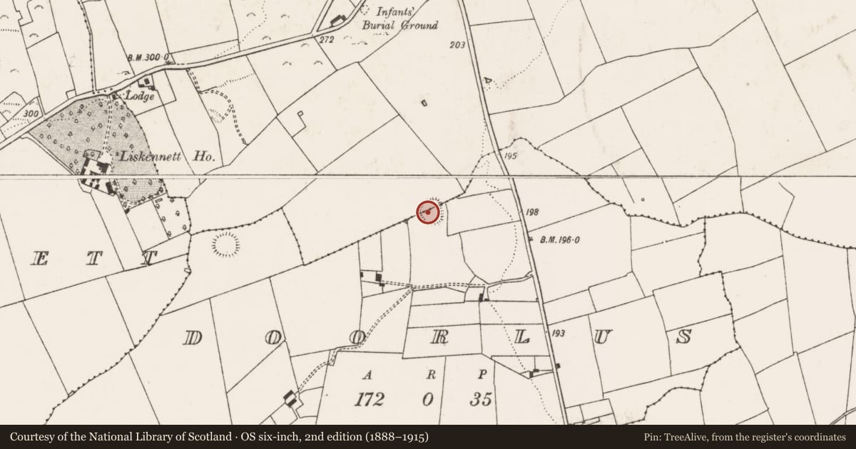 Ordnance Survey six-inch map, 2nd edition (1888–1915) covering the location of Ringfort - rath, Doorlus, County Limerick, with a pin at the register's coordinates
