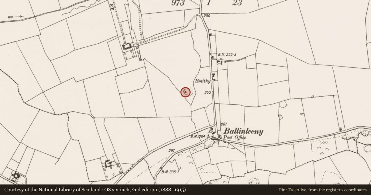 Ordnance Survey six-inch map, 2nd edition (1888–1915) covering the location of Ringfort - rath, Kilmore, County Limerick, with a pin at the register's coordinates
