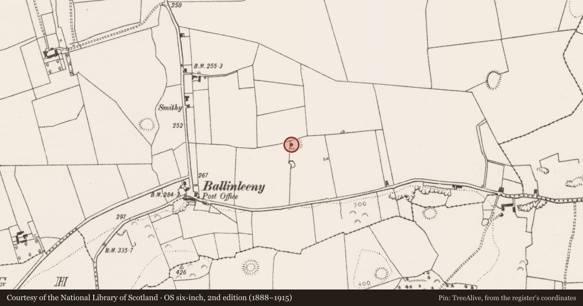 Ordnance Survey six-inch map, 2nd edition (1888–1915) covering the location of Ringfort - rath, Kilmore, County Limerick, with a pin at the register's coordinates