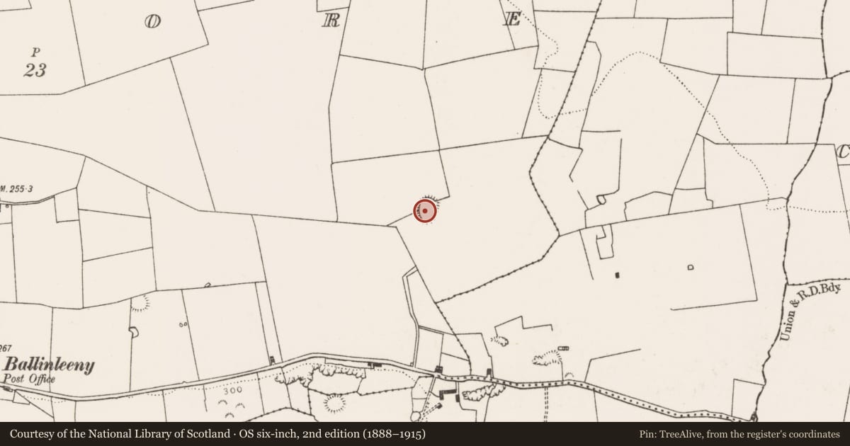Ordnance Survey six-inch map, 2nd edition (1888–1915) covering the location of Enclosure, Kilmore, County Limerick, with a pin at the register's coordinates