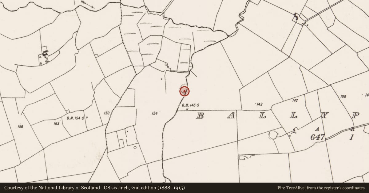 Ordnance Survey six-inch map, 2nd edition (1888–1915) covering the location of Ringfort - rath, Ballyphilip, Kingsland, County Limerick, with a pin at the register's coordinates