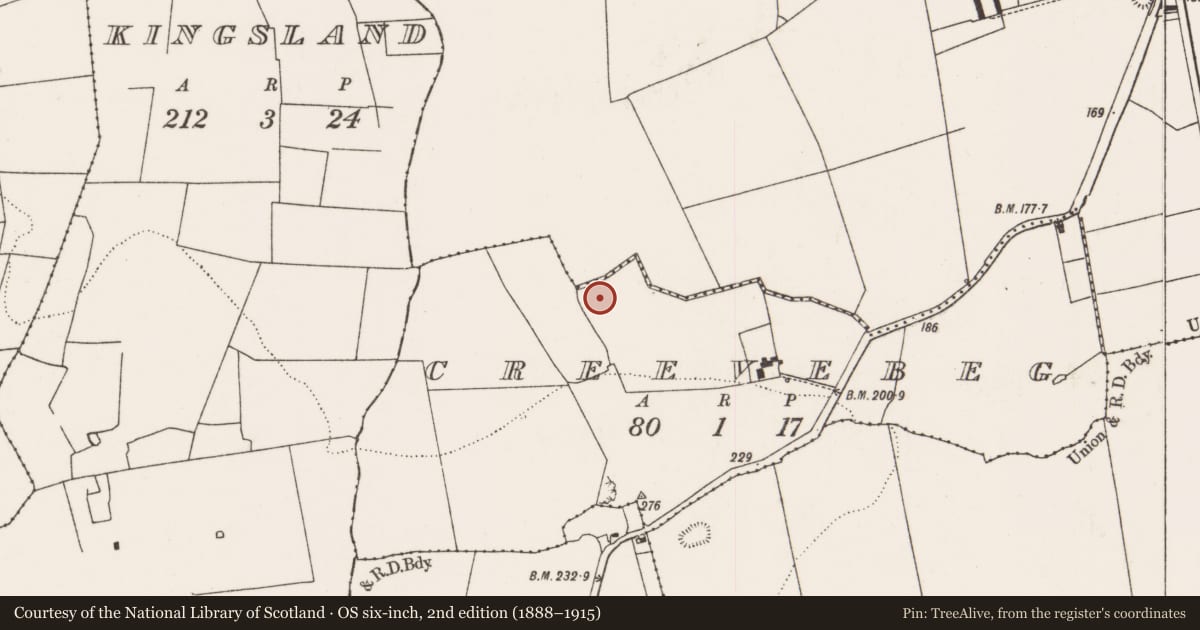 Ordnance Survey six-inch map, 2nd edition (1888–1915) covering the location of Earthwork, Creevebeg, County Limerick, with a pin at the register's coordinates