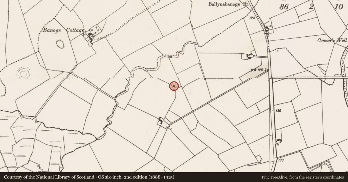 Ordnance Survey six-inch map, 2nd edition (1888–1915) covering the location of Ringfort - rath, Ballyphilip, County Limerick, with a pin at the register's coordinates