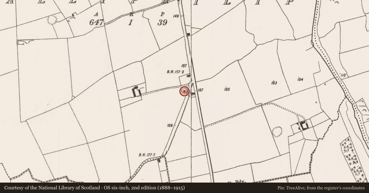 Ordnance Survey six-inch map, 2nd edition (1888–1915) covering the location of Enclosure, Ballyphilip, County Limerick, with a pin at the register's coordinates
