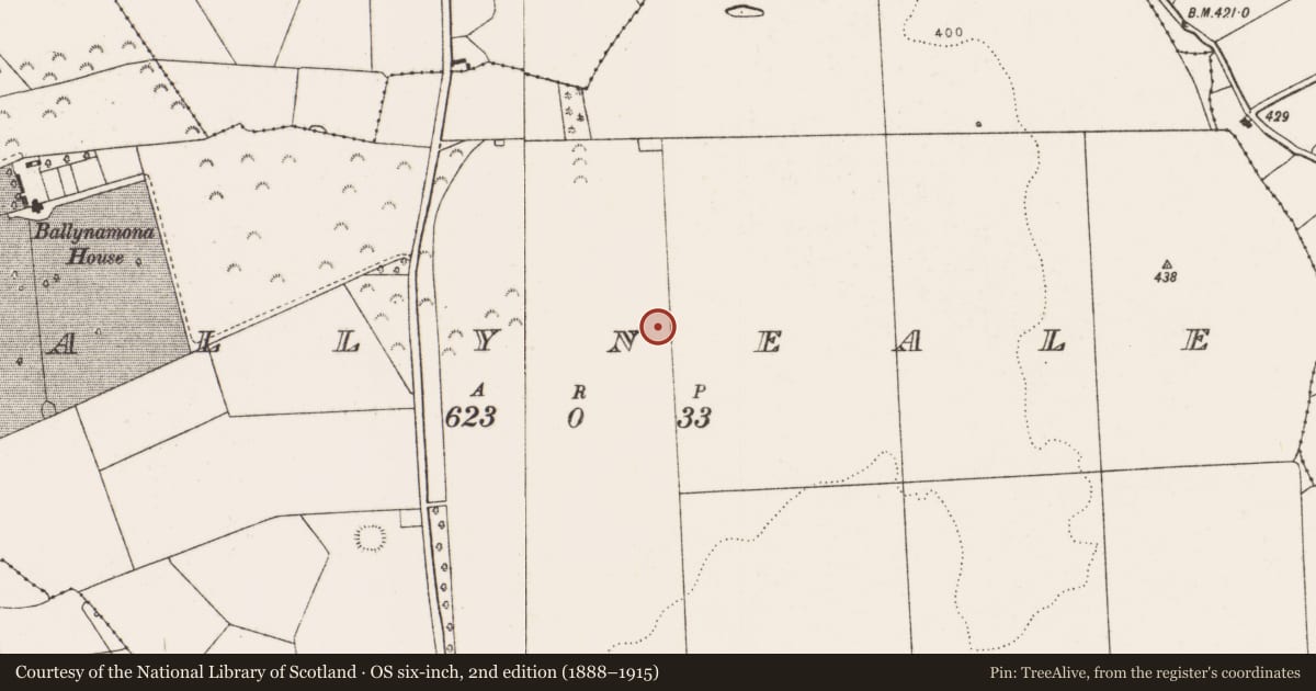 Ordnance Survey six-inch map, 2nd edition (1888–1915) covering the location of Ringfort - rath, Ballyneale, County Limerick, with a pin at the register's coordinates