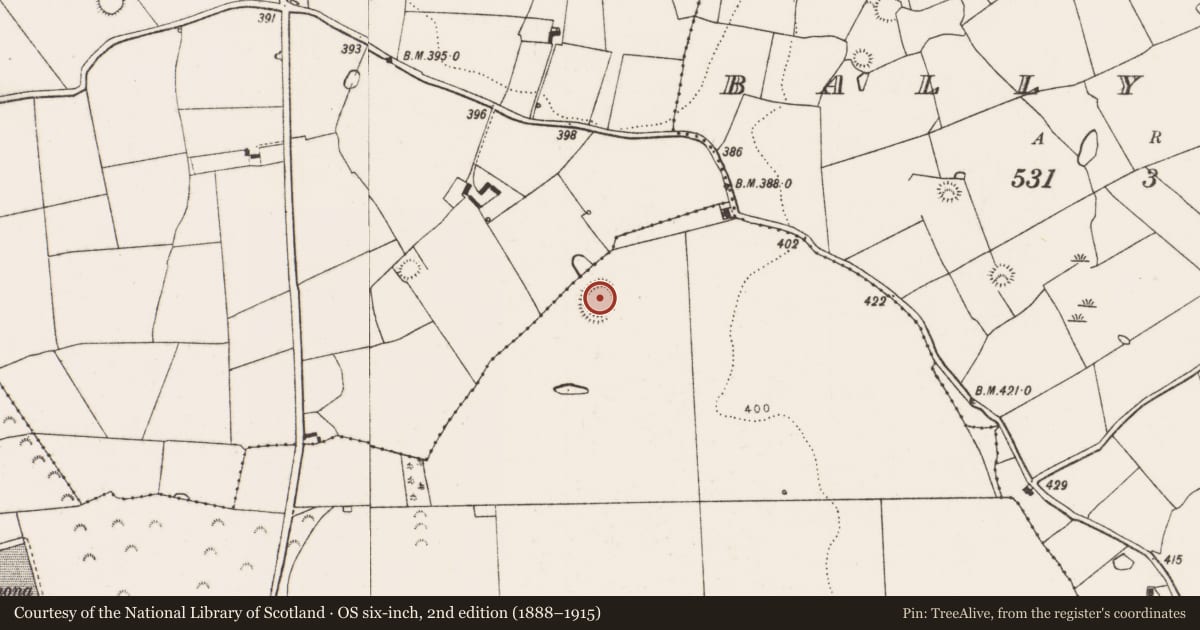 Ordnance Survey six-inch map, 2nd edition (1888–1915) covering the location of Ringfort - rath, Ballyneale, County Limerick, with a pin at the register's coordinates