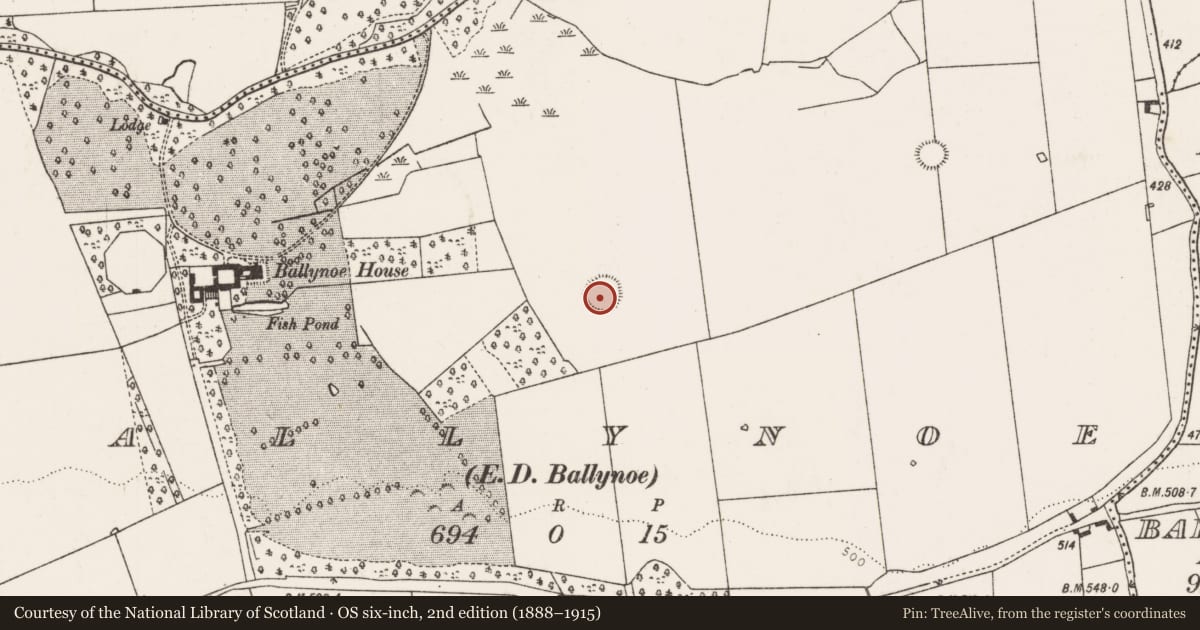 Ordnance Survey six-inch map, 2nd edition (1888–1915) covering the location of Ringfort - rath, Ballynoe, County Limerick, with a pin at the register's coordinates
