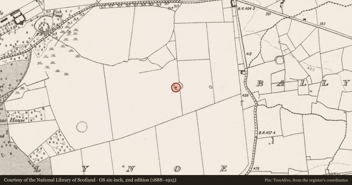 Ordnance Survey six-inch map, 2nd edition (1888–1915) covering the location of Ringfort - rath, Ballynoe, County Limerick, with a pin at the register's coordinates