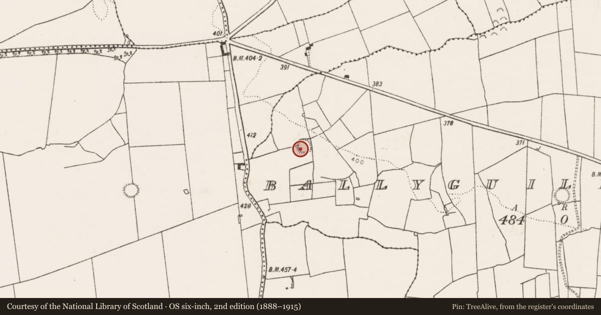 Ordnance Survey six-inch map, 2nd edition (1888–1915) covering the location of Ringfort - rath, Ballyguileataggle, County Limerick, with a pin at the register's coordinates