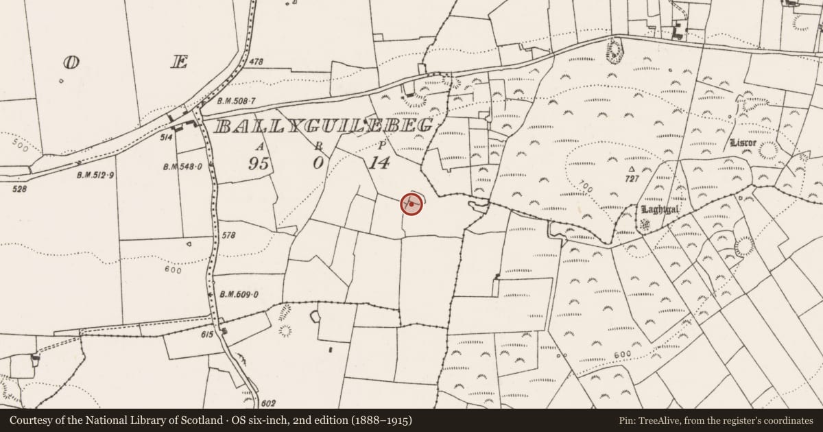 Ordnance Survey six-inch map, 2nd edition (1888–1915) covering the location of Enclosure, Ballyguilebeg, County Limerick, with a pin at the register's coordinates