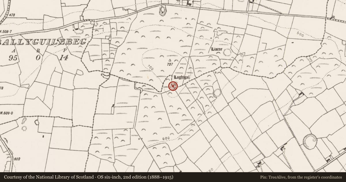 Ordnance Survey six-inch map, 2nd edition (1888–1915) covering the location of Cairn - unclassified, Ballyguileataggle, County Limerick, with a pin at the register's coordinates