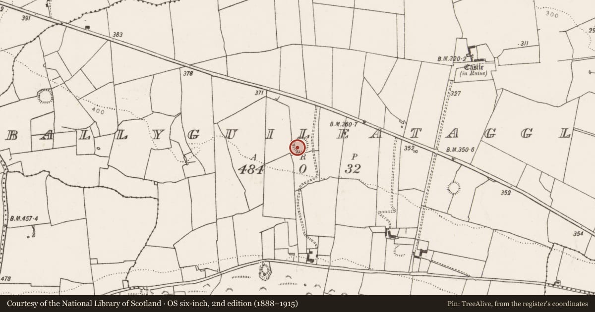 Ordnance Survey six-inch map, 2nd edition (1888–1915) covering the location of Ringfort - rath, Ballyguileataggle, County Limerick, with a pin at the register's coordinates