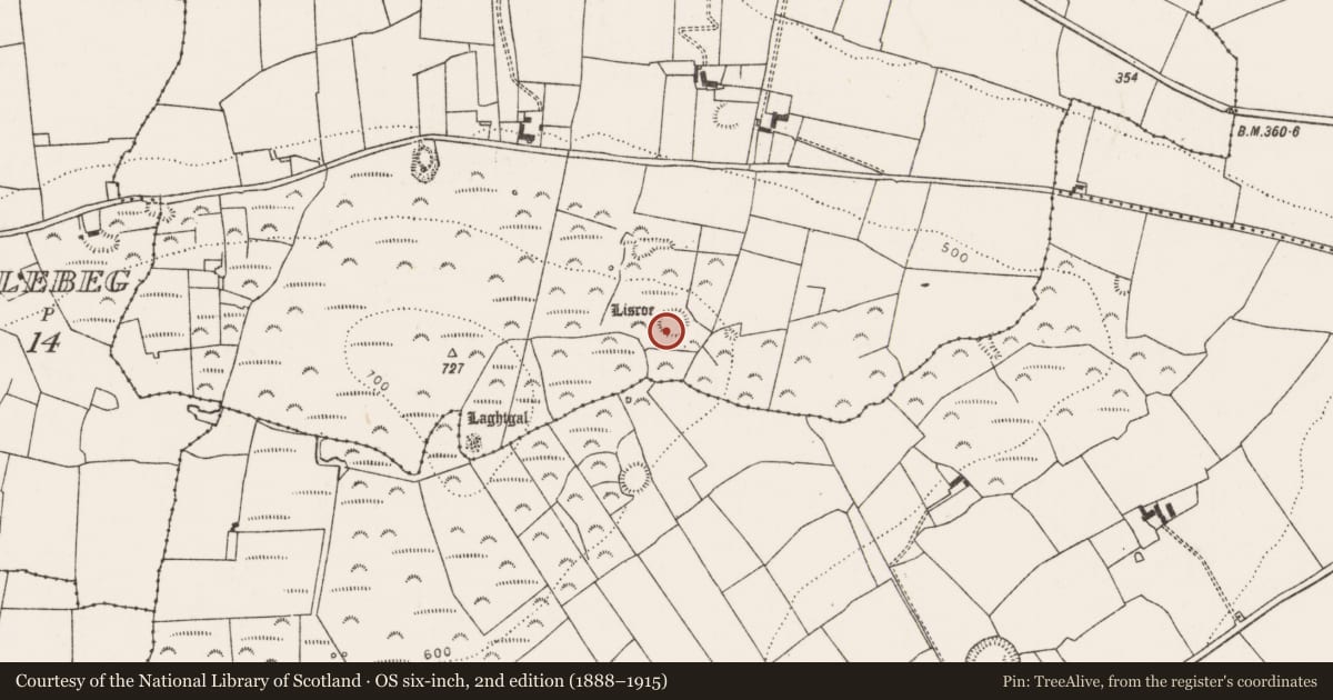 Ordnance Survey six-inch map, 2nd edition (1888–1915) covering the location of Ringfort - rath, Ballyguileataggle, County Limerick, with a pin at the register's coordinates