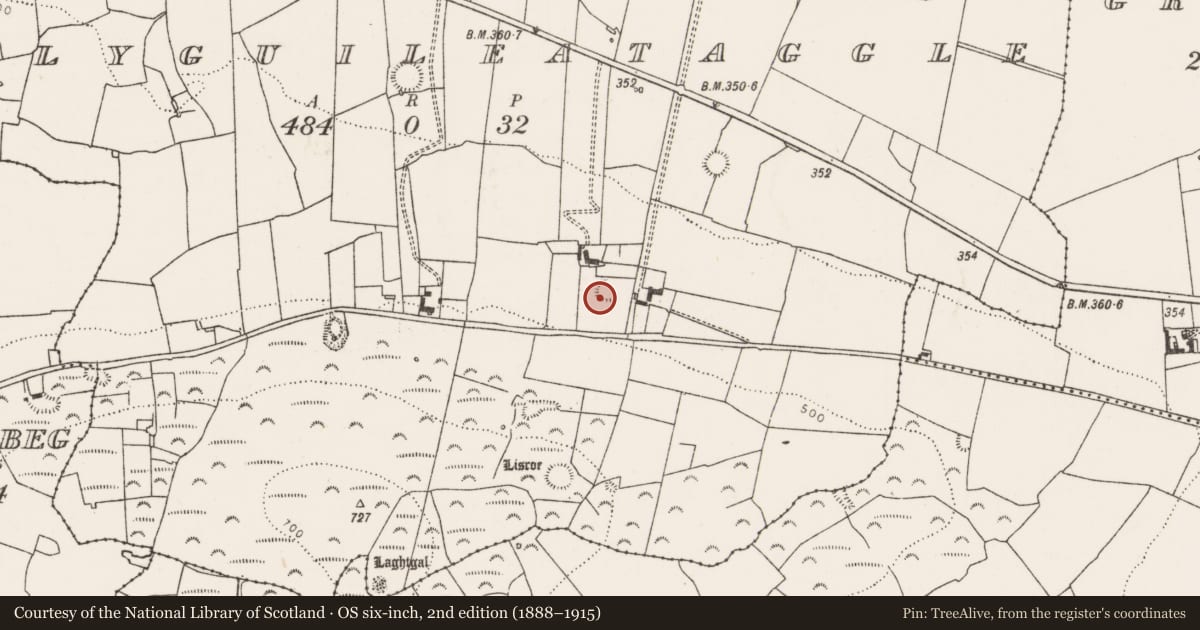 Ordnance Survey six-inch map, 2nd edition (1888–1915) covering the location of Ringfort - rath, Ballyguileataggle, County Limerick, with a pin at the register's coordinates