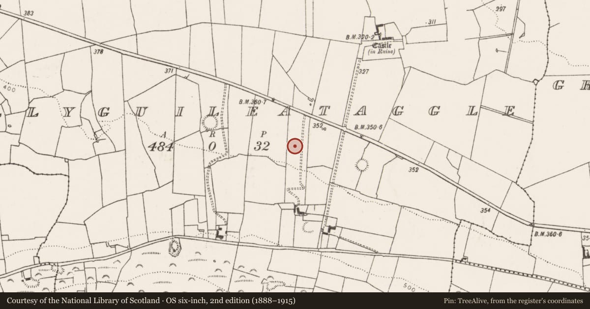 Ordnance Survey six-inch map, 2nd edition (1888–1915) covering the location of Ringfort - rath, Ballyguileataggle, County Limerick, with a pin at the register's coordinates