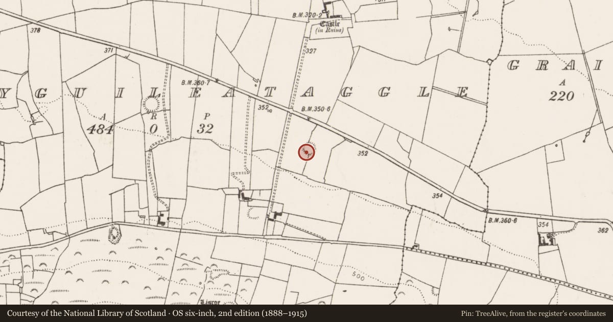 Ordnance Survey six-inch map, 2nd edition (1888–1915) covering the location of Ringfort - rath, Ballyguileataggle, County Limerick, with a pin at the register's coordinates