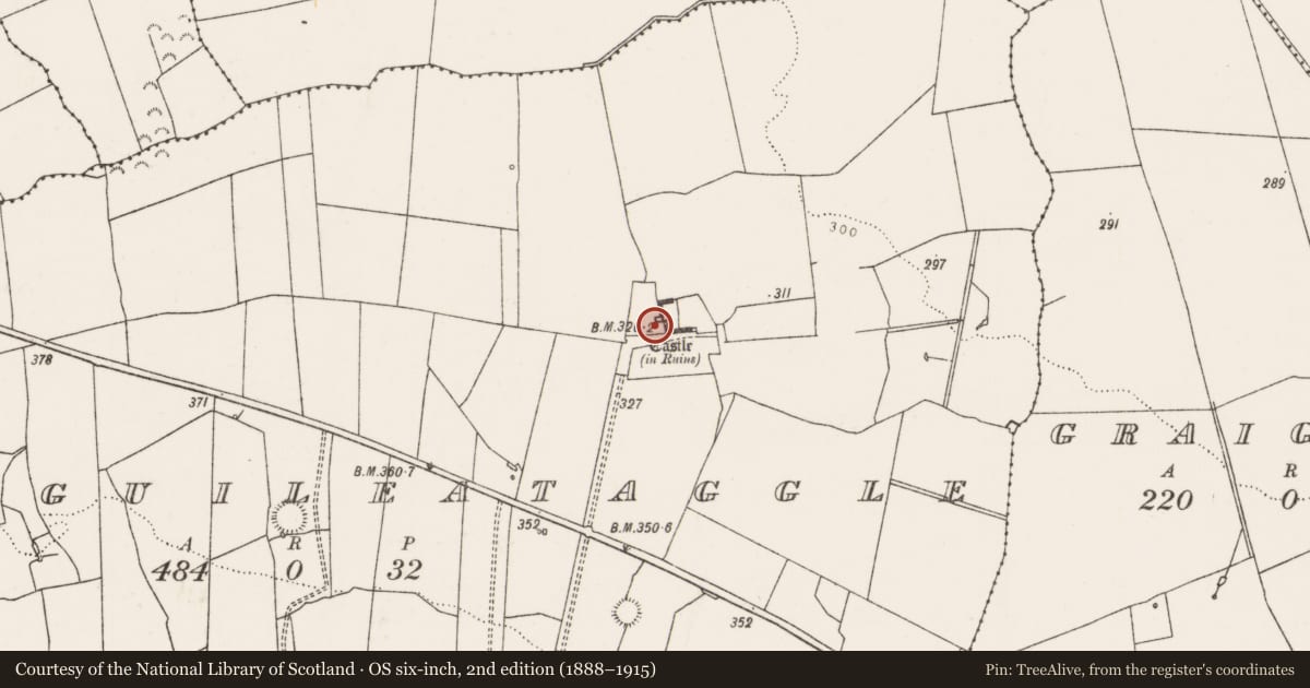 Ordnance Survey six-inch map, 2nd edition (1888–1915) covering the location of Castle - tower house, Ballyguileataggle, County Limerick, with a pin at the register's coordinates