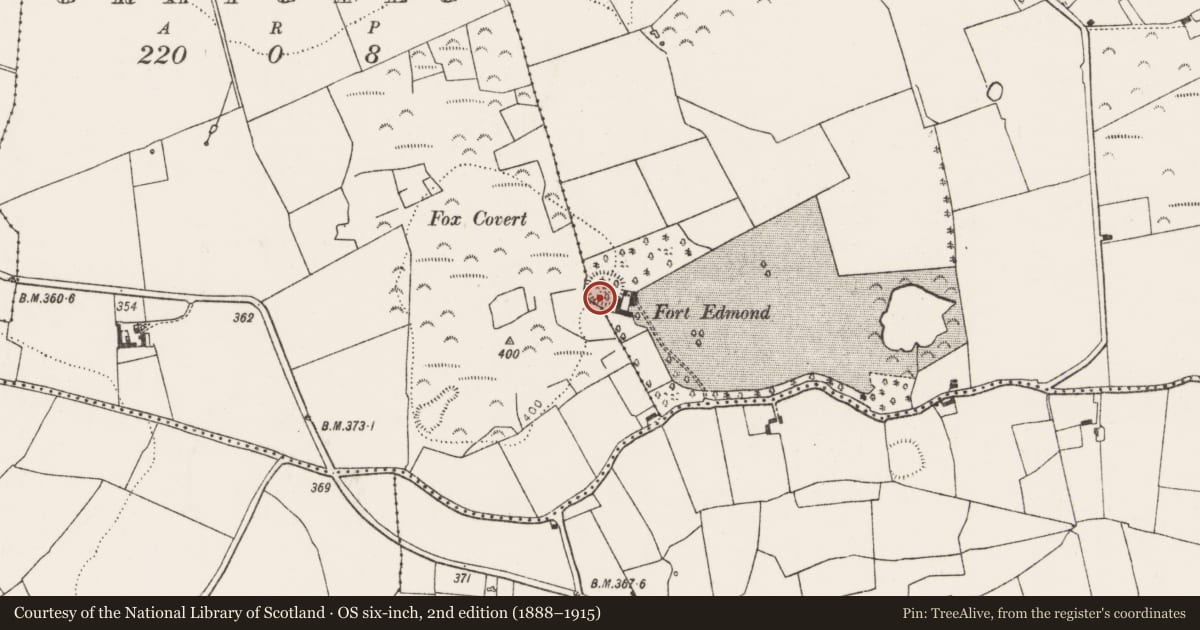 Ordnance Survey six-inch map, 2nd edition (1888–1915) covering the location of Ringfort - rath, Lisduane, County Limerick, with a pin at the register's coordinates