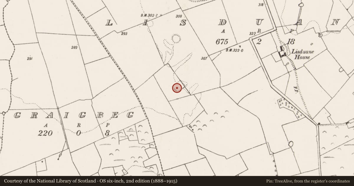 Ordnance Survey six-inch map, 2nd edition (1888–1915) covering the location of Moated site, Lisduane, County Limerick, with a pin at the register's coordinates