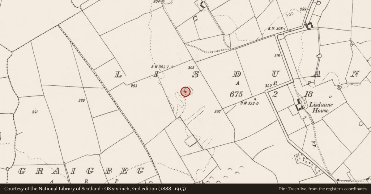 Ordnance Survey six-inch map, 2nd edition (1888–1915) covering the location of Ringfort - rath, Lisduane, County Limerick, with a pin at the register's coordinates