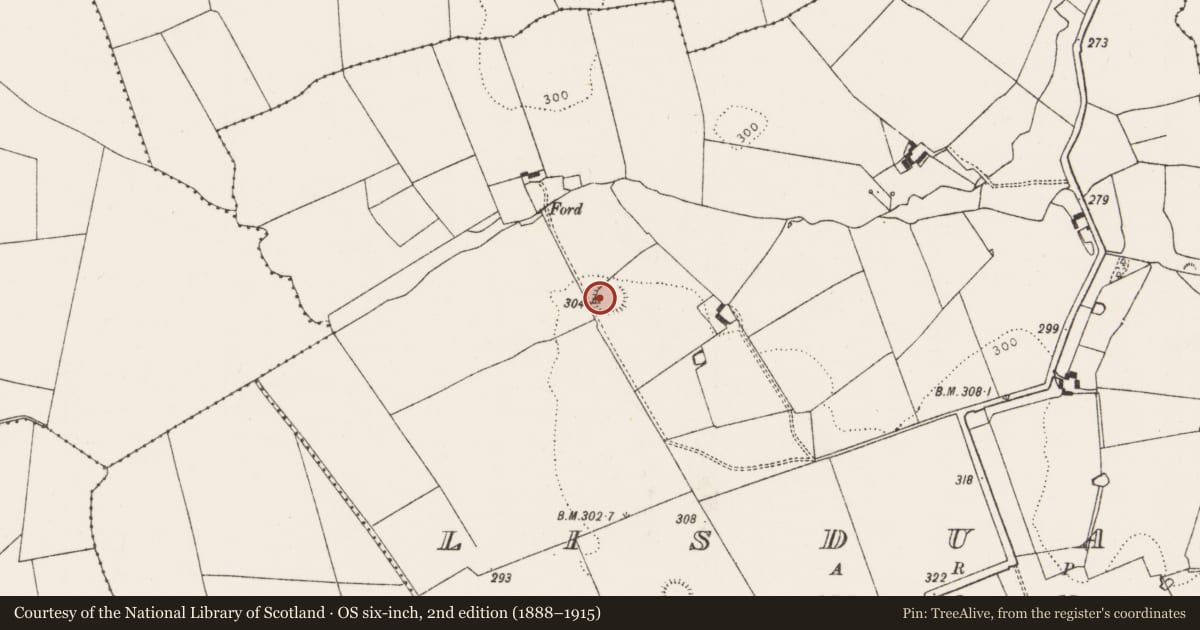 Ordnance Survey six-inch map, 2nd edition (1888–1915) covering the location of Ringfort - rath, Lisduane, County Limerick, with a pin at the register's coordinates