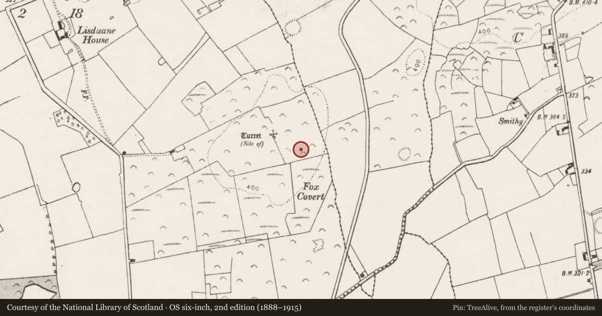 Ordnance Survey six-inch map, 2nd edition (1888–1915) covering the location of Ringfort - rath, Lisduane, County Limerick, with a pin at the register's coordinates