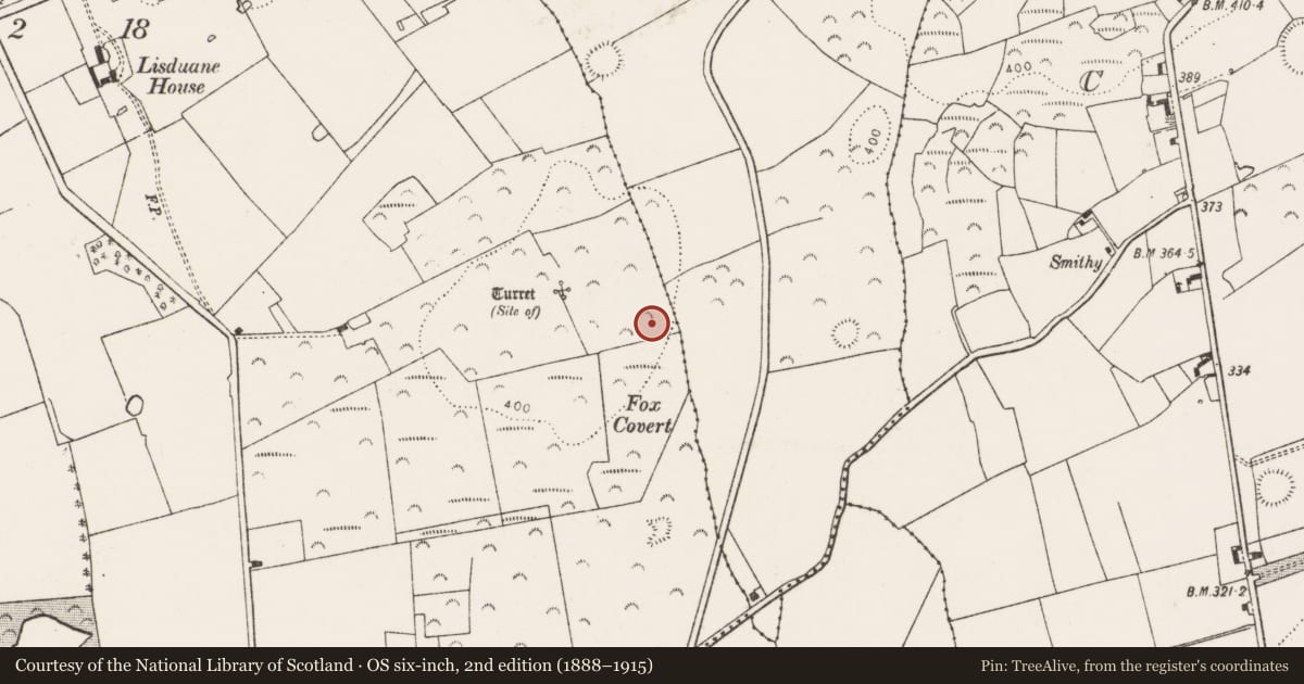 Ordnance Survey six-inch map, 2nd edition (1888–1915) covering the location of Ringfort - rath, Lisduane, County Limerick, with a pin at the register's coordinates