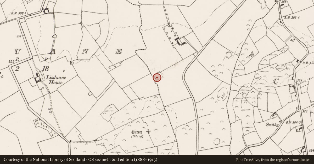 Ordnance Survey six-inch map, 2nd edition (1888–1915) covering the location of Ringfort - rath, Granagh, County Limerick, with a pin at the register's coordinates