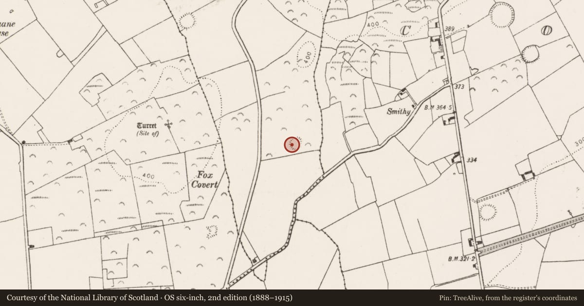 Ordnance Survey six-inch map, 2nd edition (1888–1915) covering the location of Ringfort - rath, Granagh, County Limerick, with a pin at the register's coordinates
